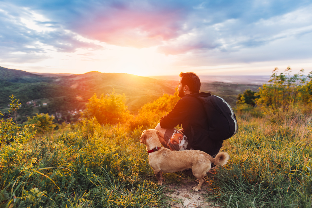 vacanza cane paesaggio